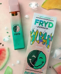 JUICY MELON DEW FRYD FLAVOR PICTURE